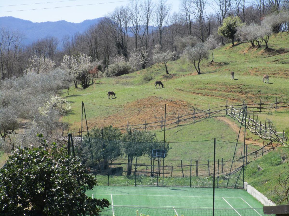 Podere La Piana Fivizzano Extérieur photo